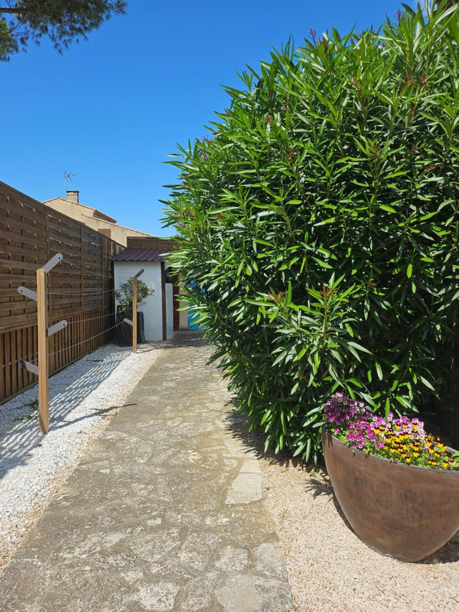 Belle villa lespignan Esterno foto